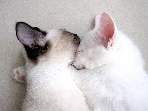 _勇士连续三场三分命中率超高_，勇士队三分球命中率