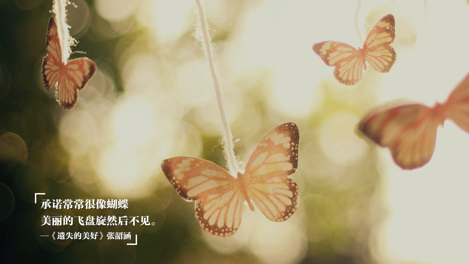 _荷兰年轻新秀崭露头角，冲击职业舞台_，荷兰足球新秀