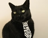 _运动员赛后专访：背后故事感人至深_，运动冠军采访