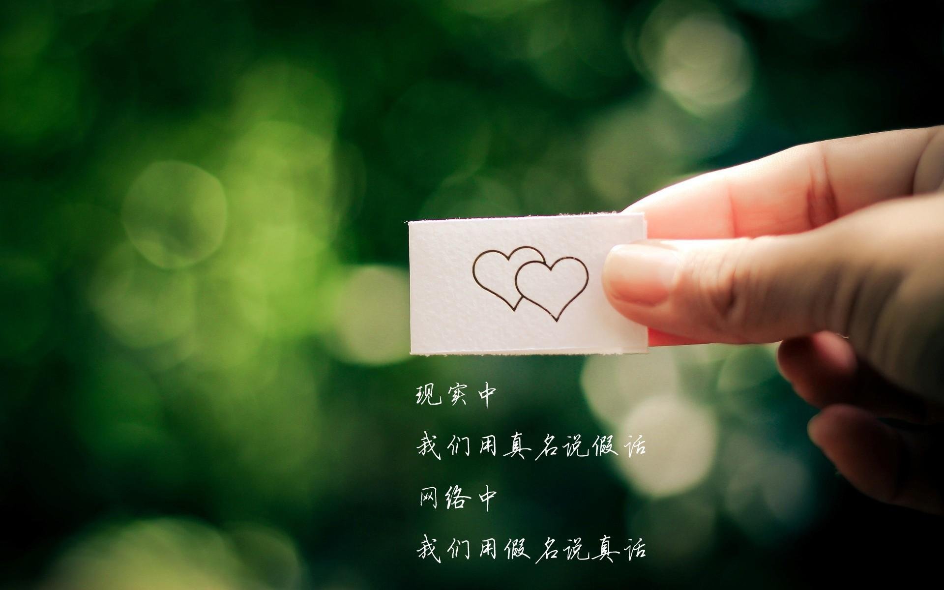 爱尔兰橄榄球队在世界杯中进入八强,爱尔兰橄榄球队在世界杯中进入八强了吗