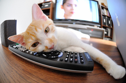 足球体育经纪人平台上线服务职业球员,足球经纪人提成多少