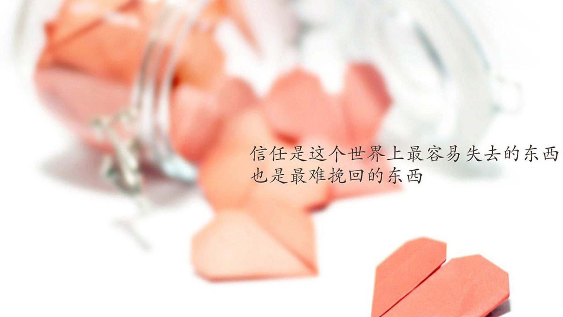 四川金强年轻阵容竞争力提升,四川金强青训