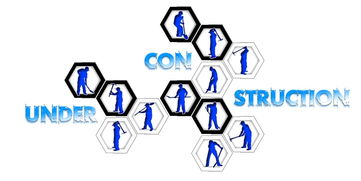 中国篮球职业联赛青训体系创新发展模式分析,中国青年篮球队