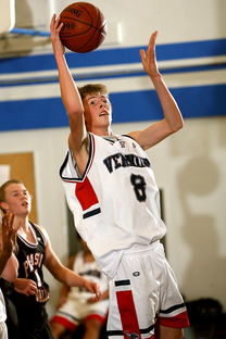 中国篮球青少年篮球发展政策落实与推广策略研究,青少年篮球培训市场现状