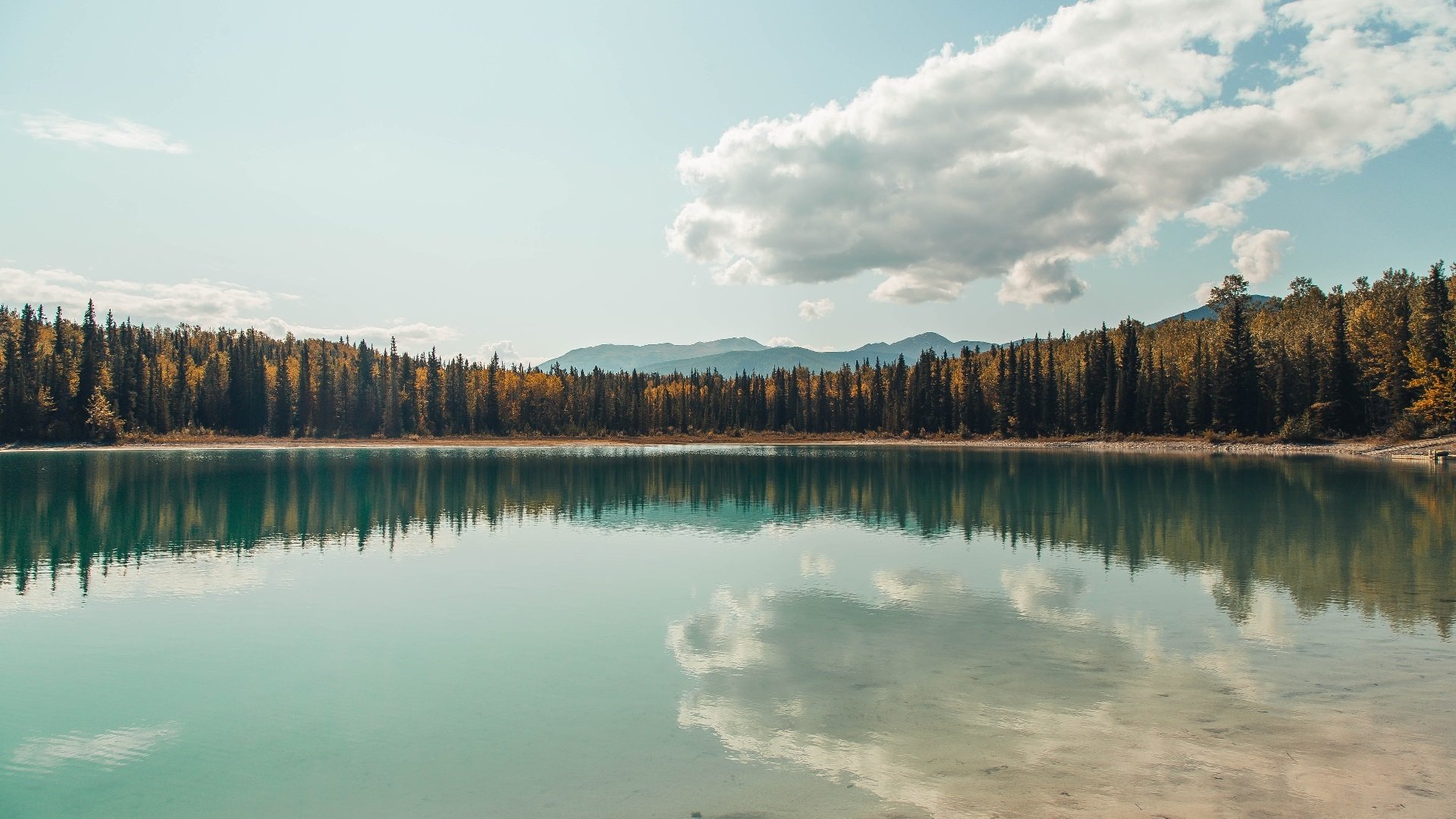 全国花式篮球争霸赛年轻选手大秀绝技，全国花式篮球邀请赛