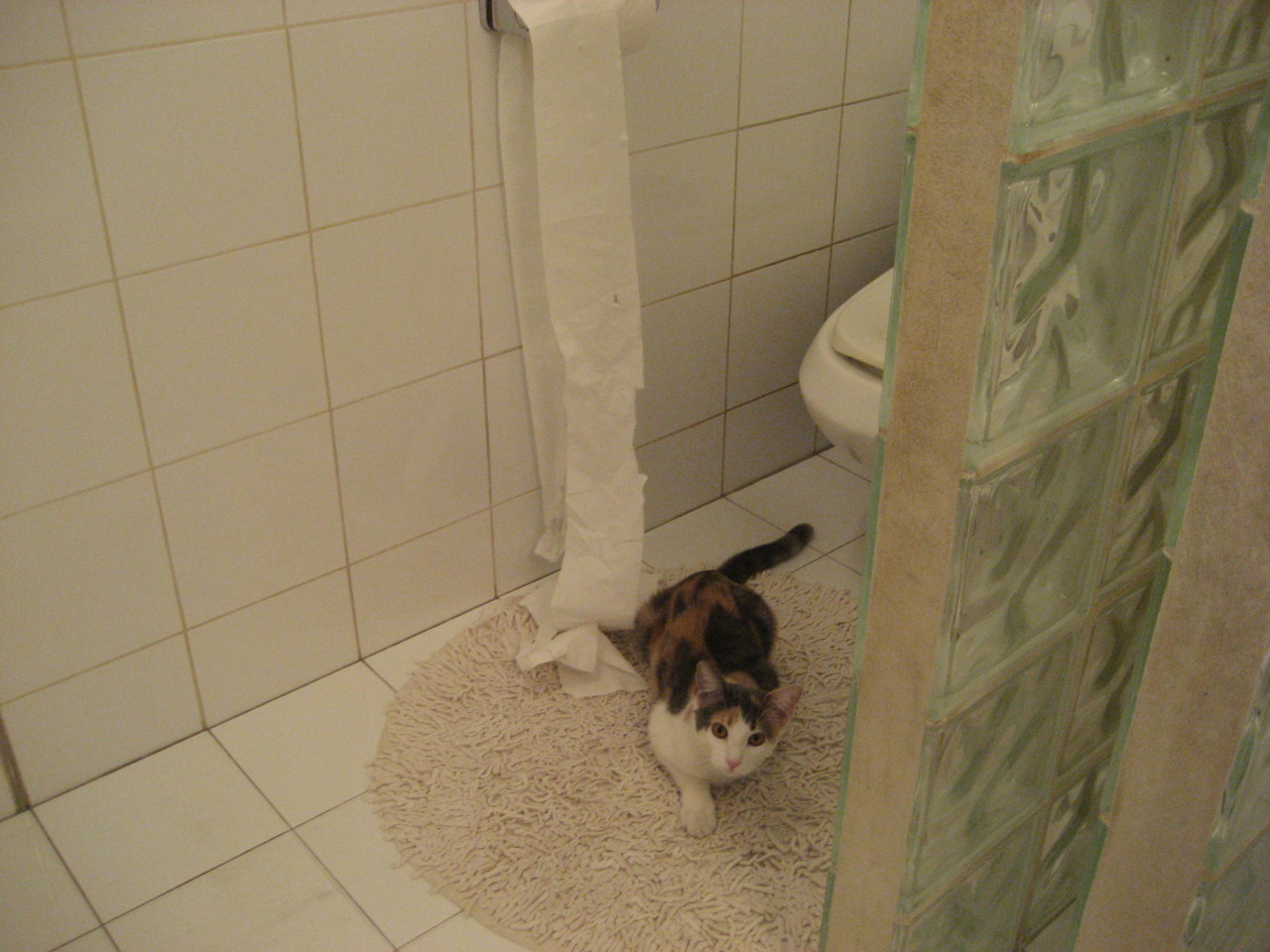 “沙滩手球精彩纷呈,运动员挑战速度与技巧”