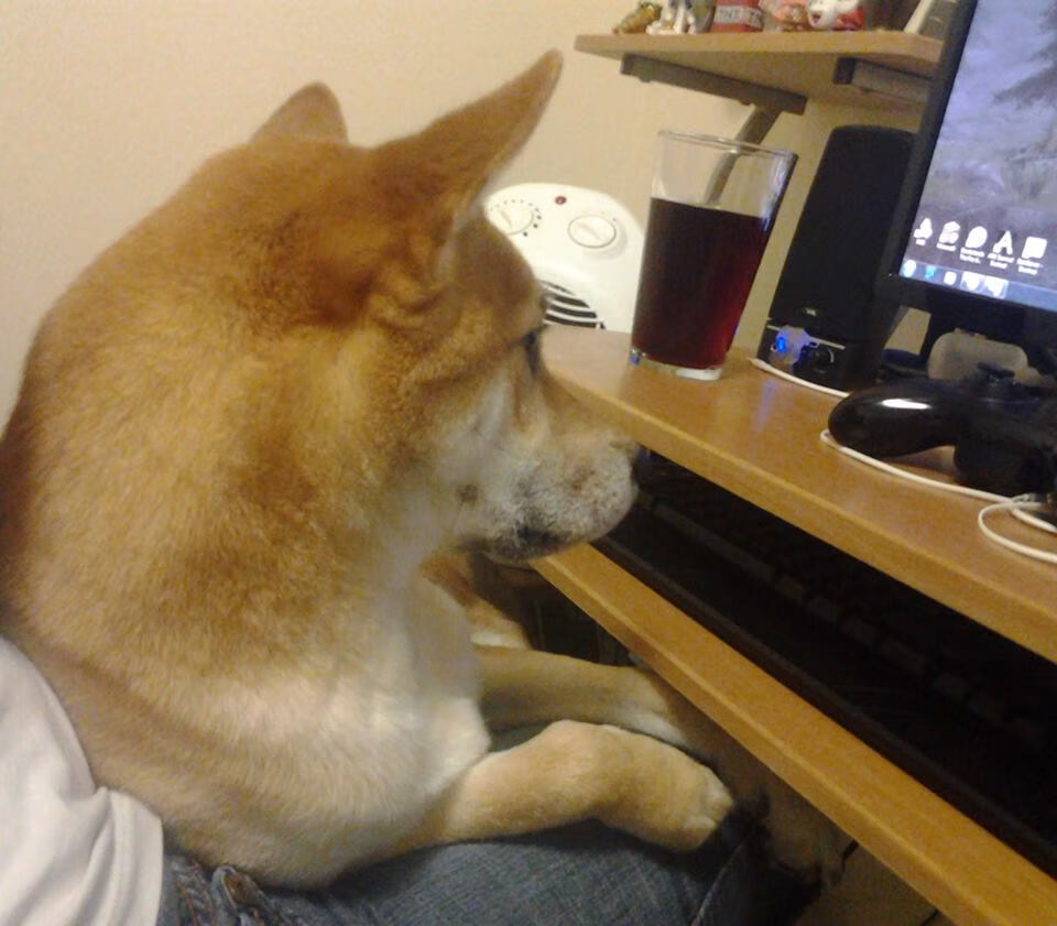 世界杯预选赛中国队惨败 球迷讨论防守漏洞,世界杯预选赛中国队赢了吗